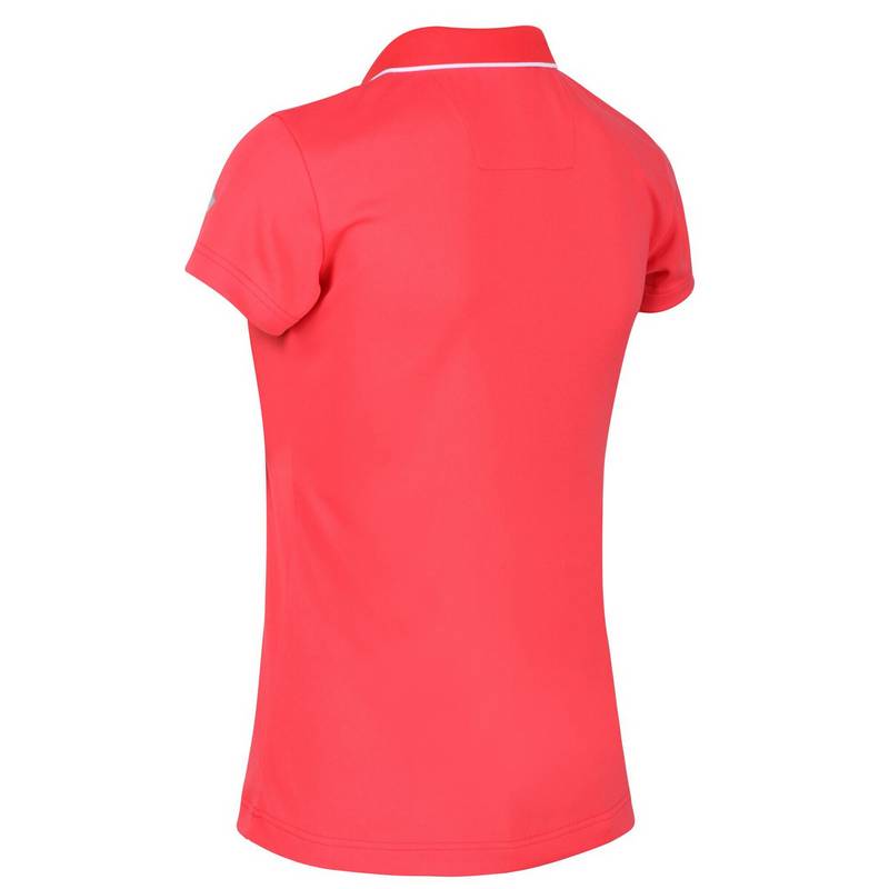 Regatta Maverik V Funktionsshirt Damen