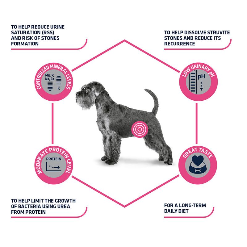 Advance Veterinary Diets Urinary