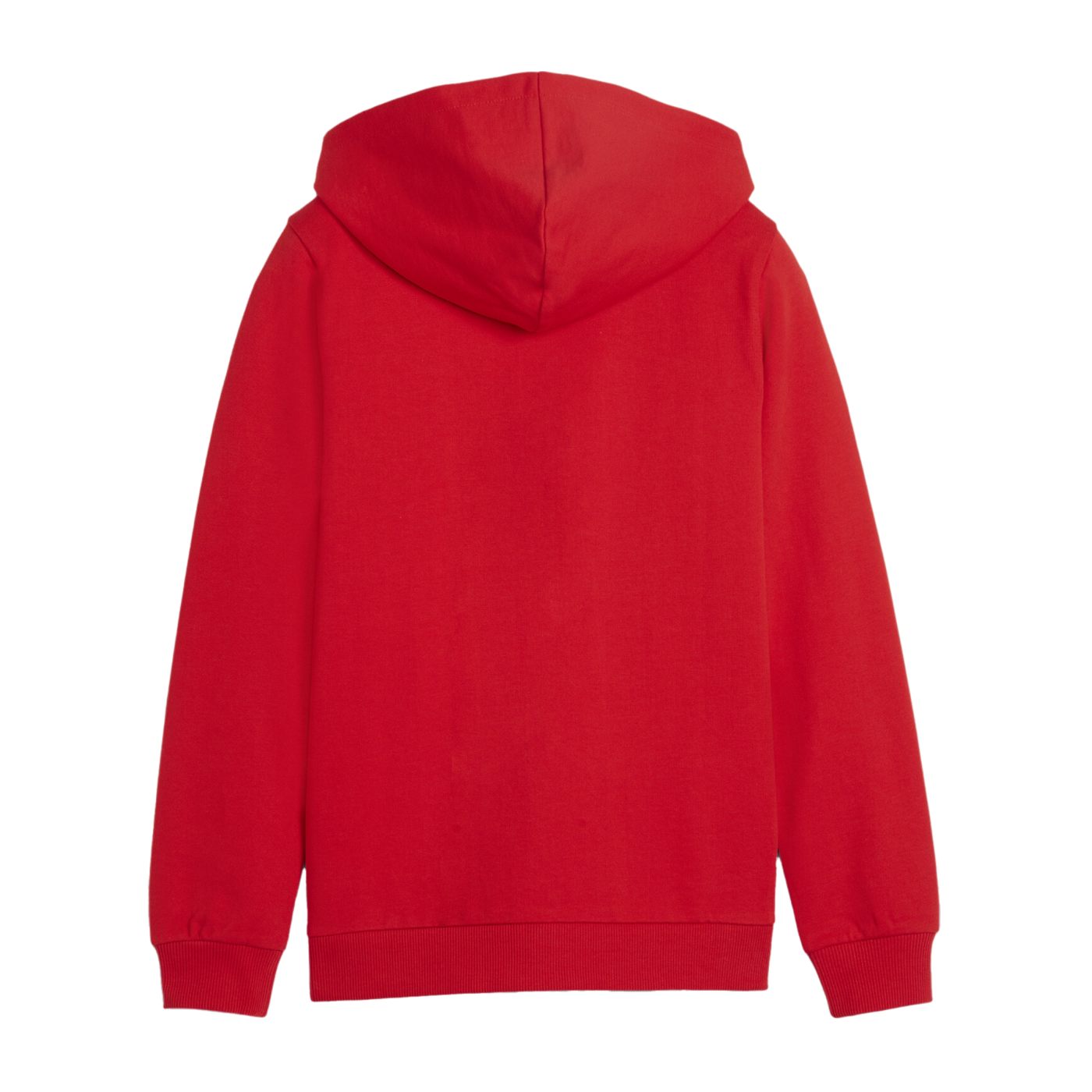 PUMA teamGOAL Casuals Kapuzenjacke Kids Rot F01