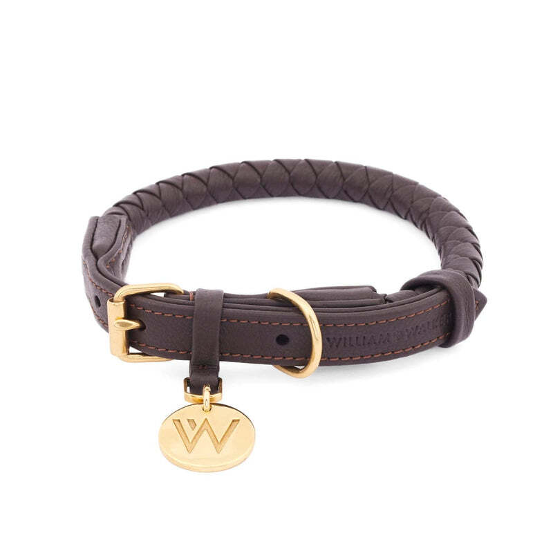William Walker Hundehalsbänder William Walker Hundehalsband Twisted Earth XL