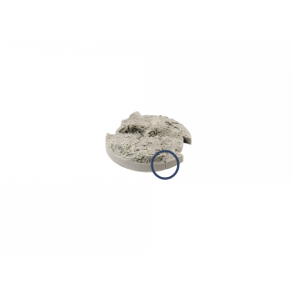 SWL Forest Bases 50mm (2)