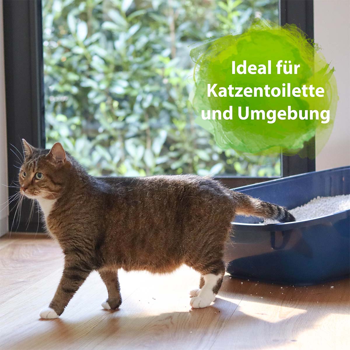 Bactador Katzentoiletten - Geruchsentferner Spray
