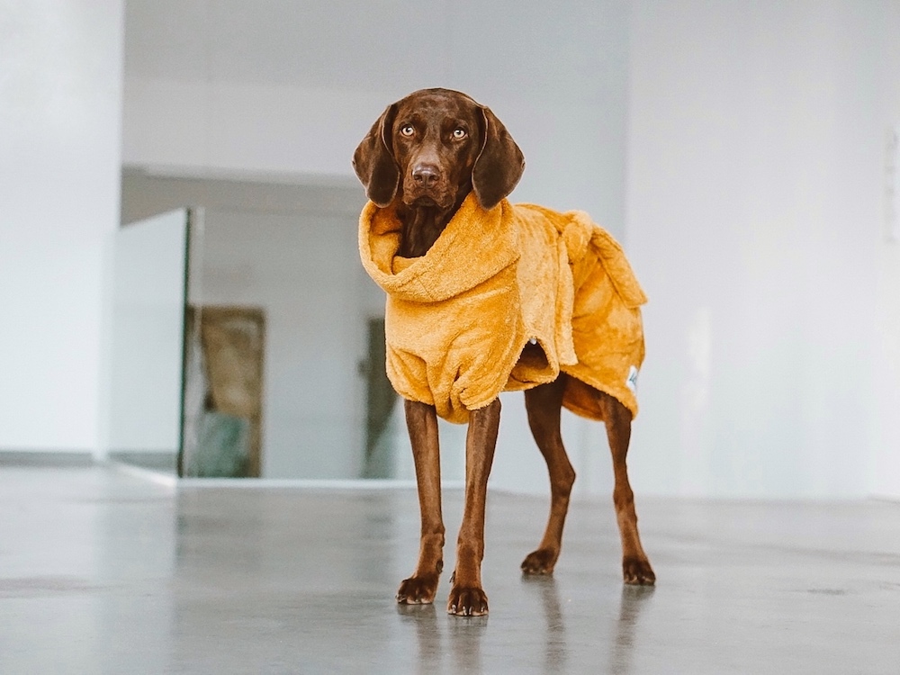 Lills Hundemäntel Lills Hundebademantel 