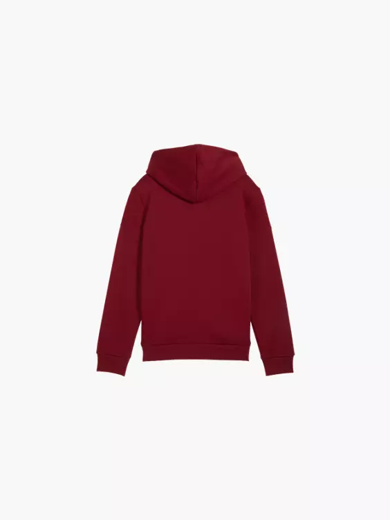 PUMA Hoodie