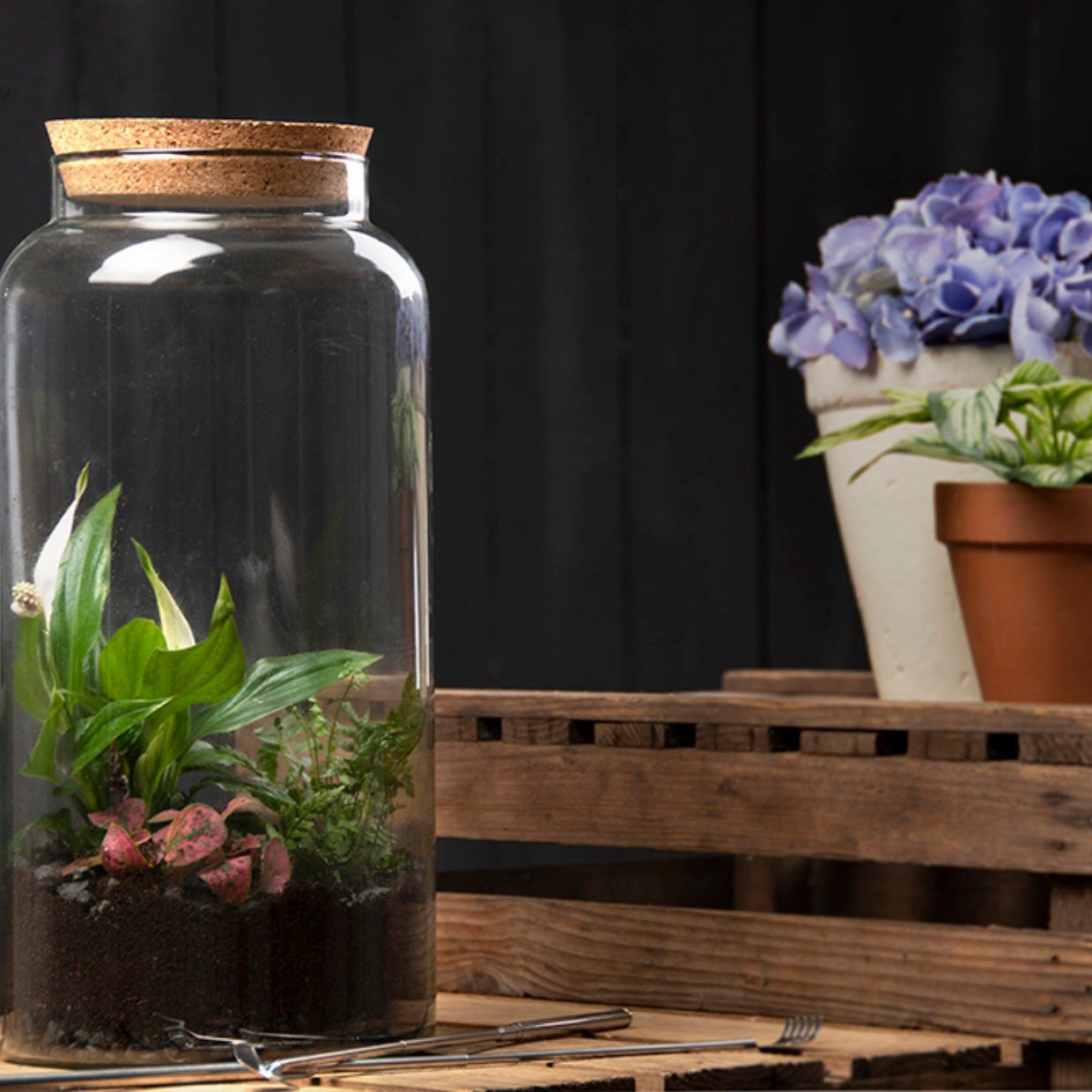 esschert design Gewächshaus Halboffene Terrarium Flasche Glas 10 L Pflanzen Deko Gewächs Haus Blumen Kork, Terrarium Flasche
