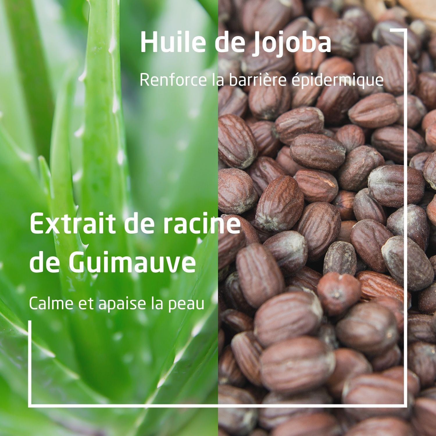 Weleda Homme Baume Après-Rasage - Tous Types de Peaux - Protège, Apaise, Hydrate - 100 ml
