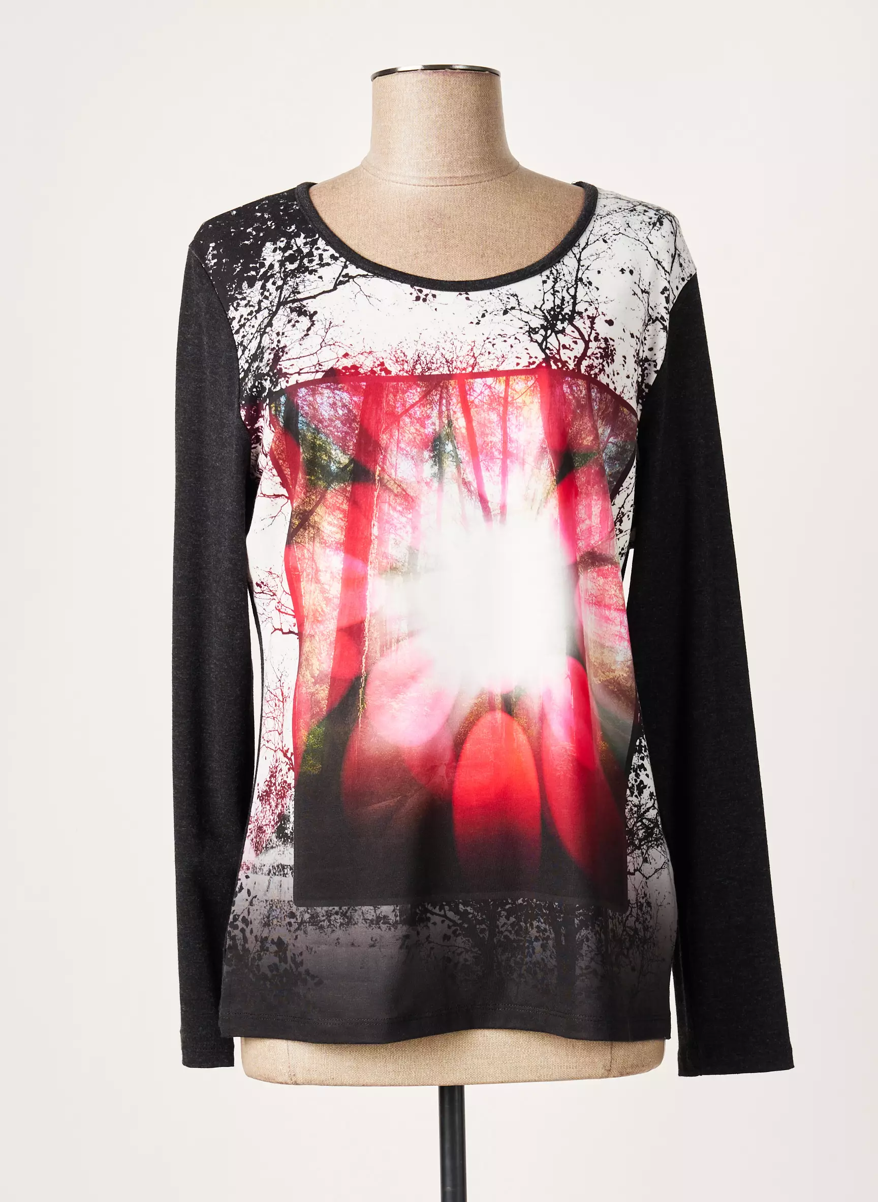 Guy Dubouis Tshirts Femme couleur gris
