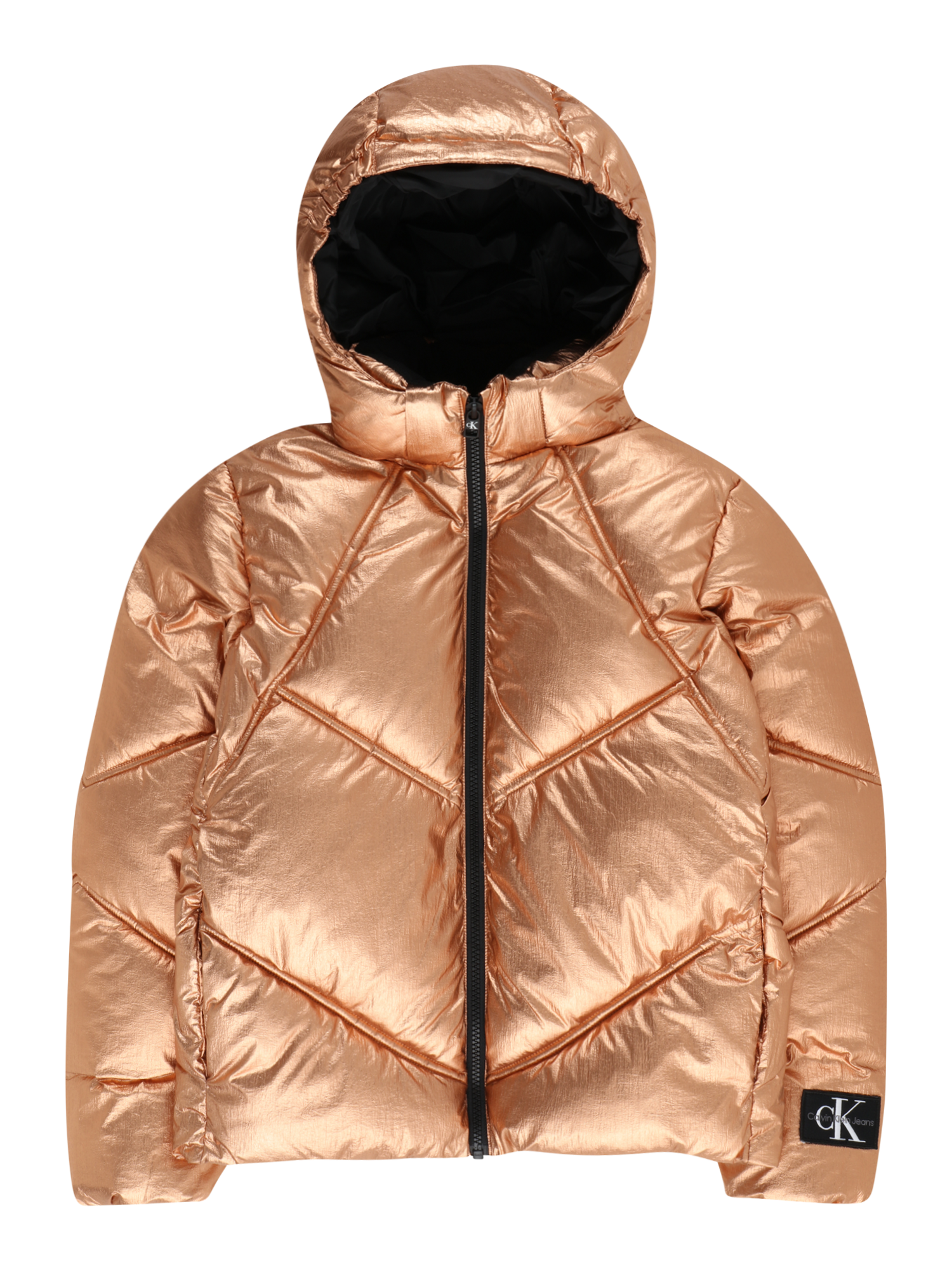 Winter Jacket