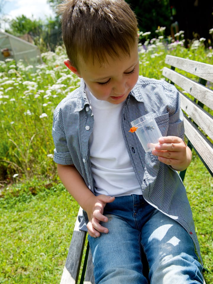Haba Experimentierkasten Terra Kids Insektensauger in mehrfarbig günstig kaufen onesize