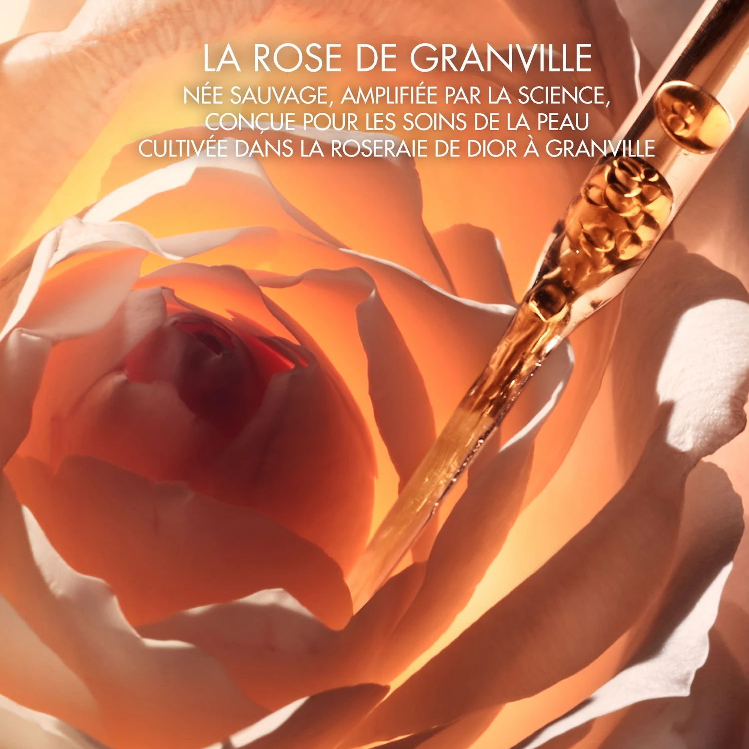 DIOR La Micro-Huile de Rose Activated Serum - Serum mikroskładników odżywczych