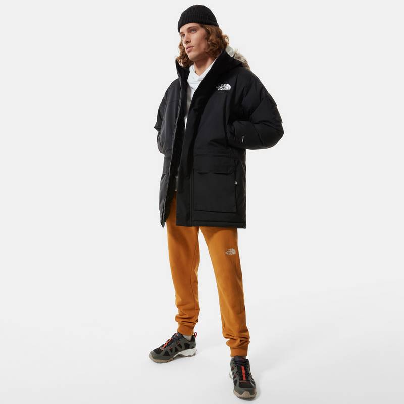 The North Face MCMURDO Daunenmantel Herren