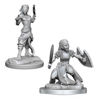 D&D Nolzur's Marvelous Miniatures: Shifter Fighter (2)