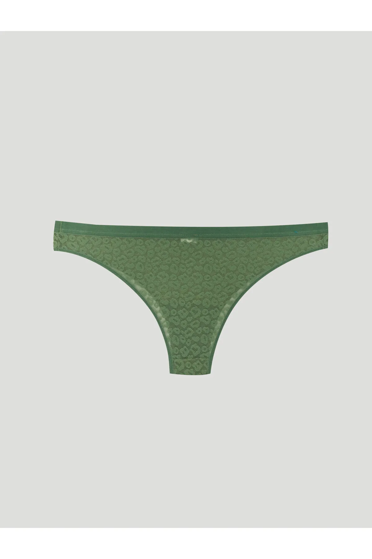 LC Waikiki  Unterhosen - Grün - Unifarben
