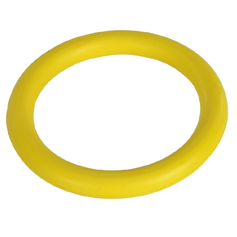 FIT+FUN Frisbees & Wurfspielzeug FIT+FUN Ring