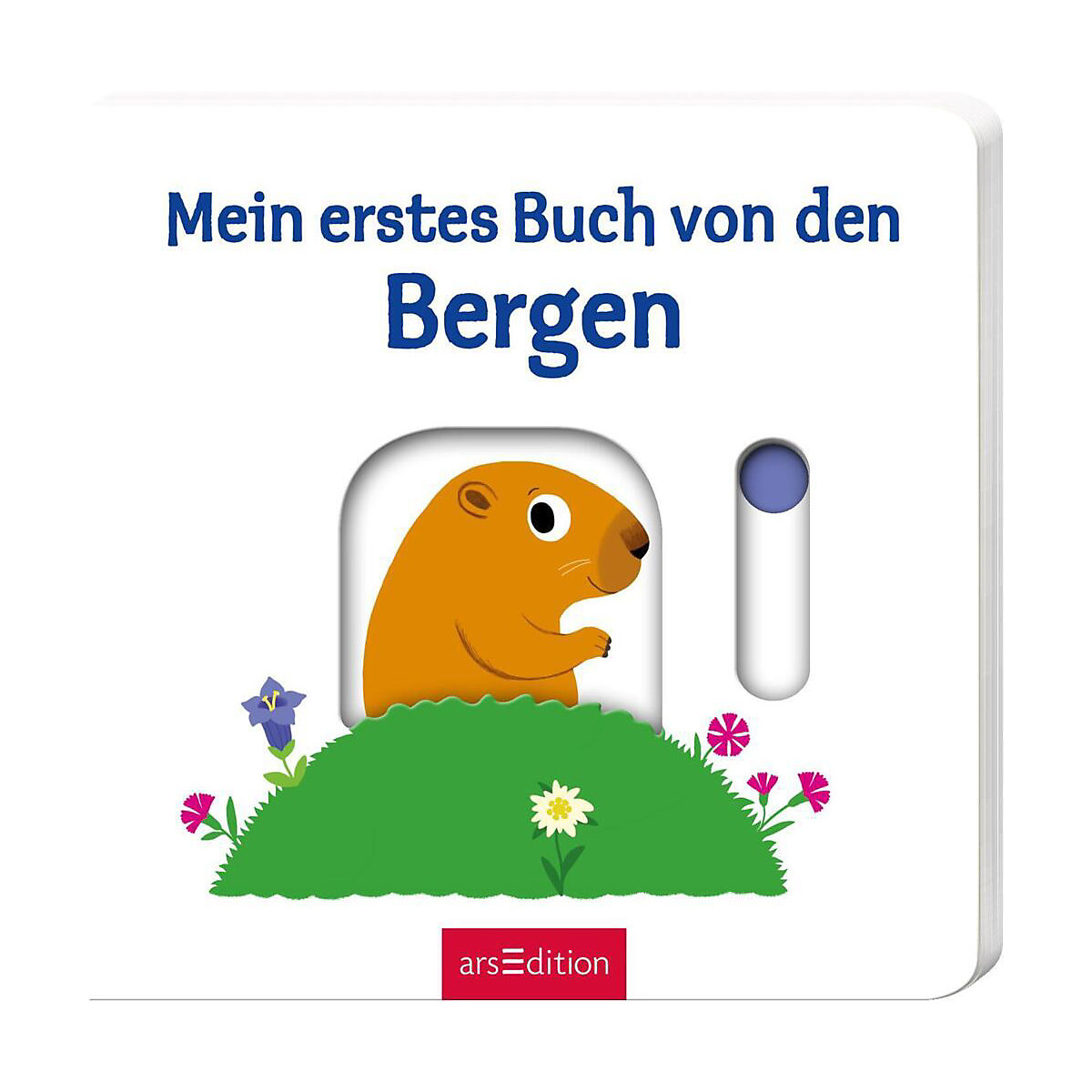 Mein erstes Buch von den Bergen