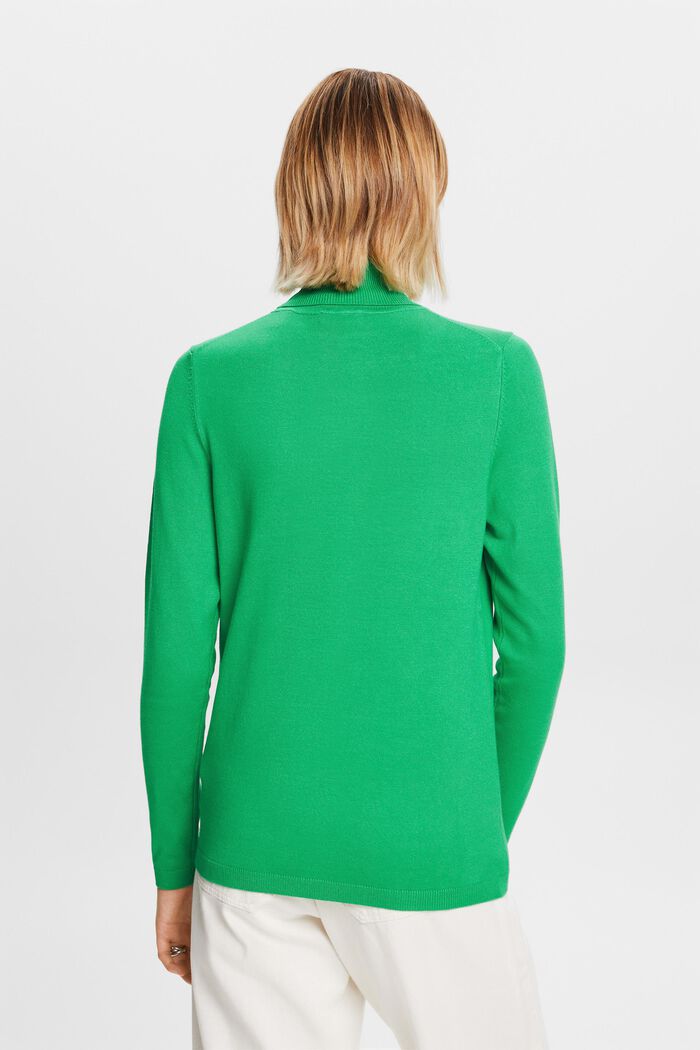 Langärmeliger Rollkragenpullover