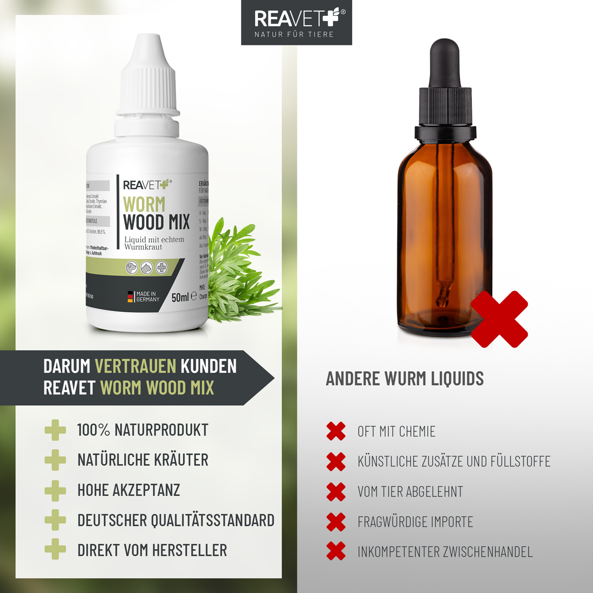 REAVET Ergänzungsfutter & Aufzucht REAVET Wormwood Mix Liquid 50ml