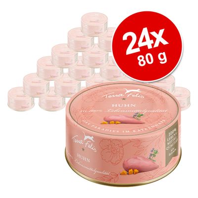 Sparpaket Terra Felis Complete 24 x 80 g
