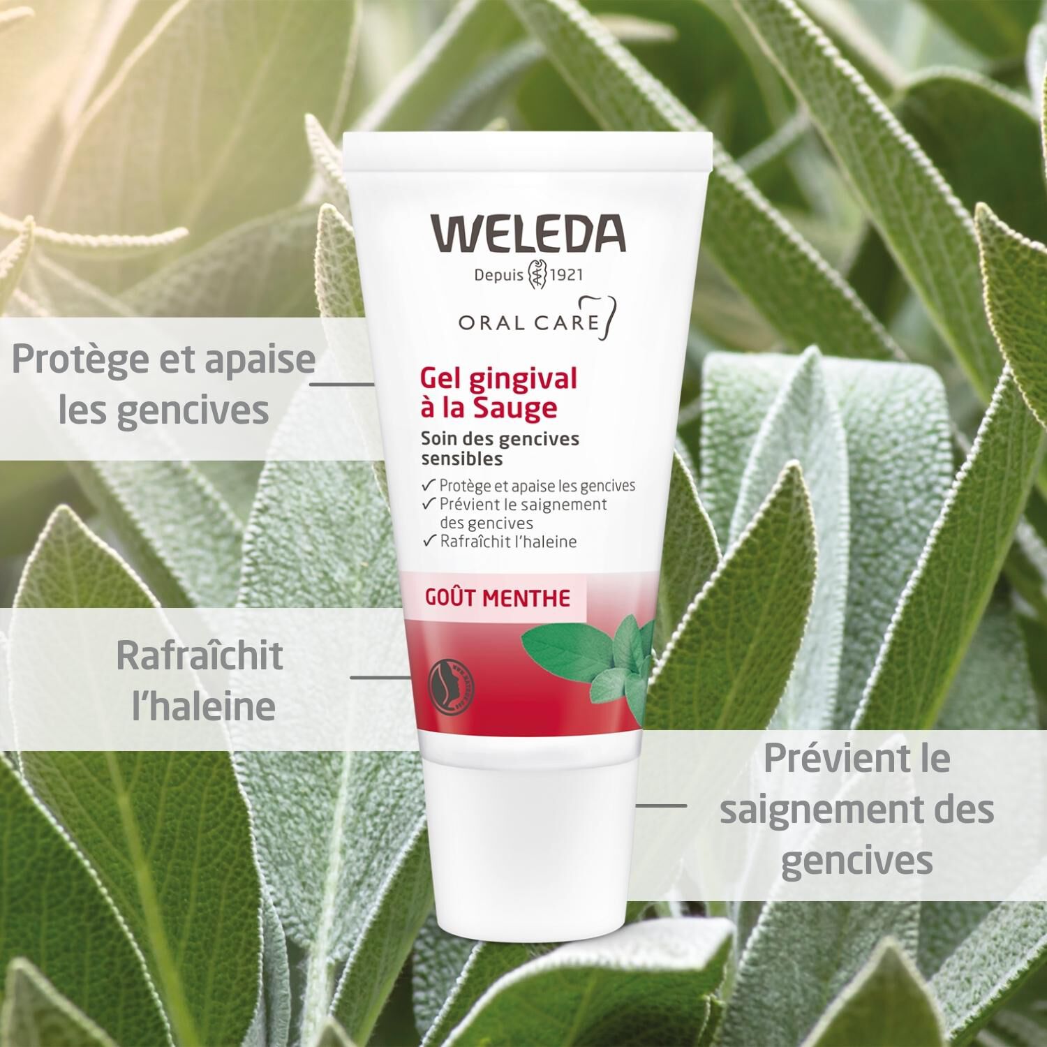 Weleda Sauge Gel Gingival - Gencives Sensibles - Goût Menthe - 30 ml