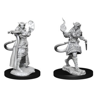 D&D Nolzur's Marvelous Miniatures: Tiefling Sorcerer Female (2)