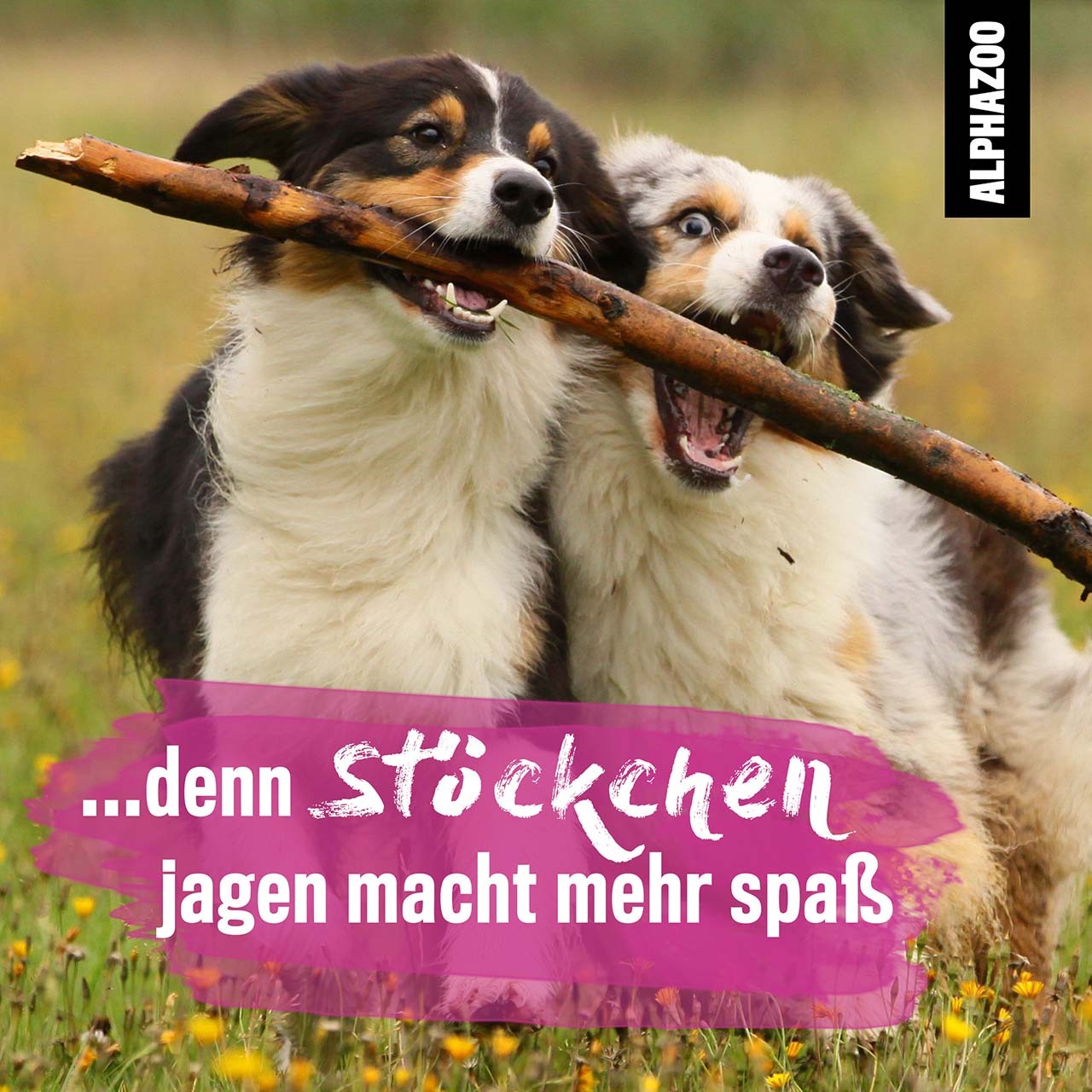 ALPHAZOO Floh- & Zeckenmittel ALPHAZOO MilbHunter Milbenspray für Hunde & Katzen I Starkes Anti Milbenmittel 500 ml
