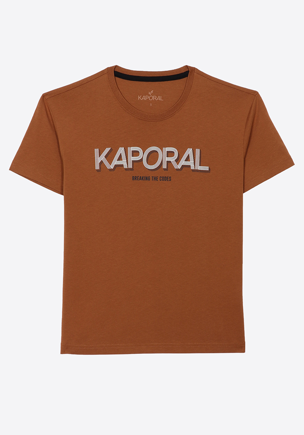 ERWAN  T-shirt marron Garçon 100% coton