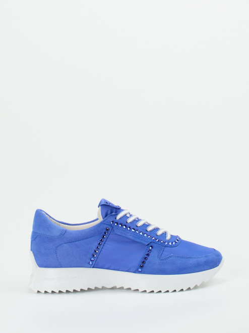 Sneaker-16631590024 Kennel & Schmenger