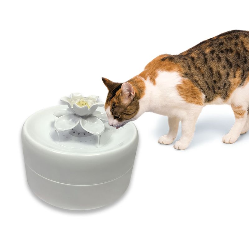 Pioneer Pet Magnolia Trinkbrunnen zu TOP-Preisen