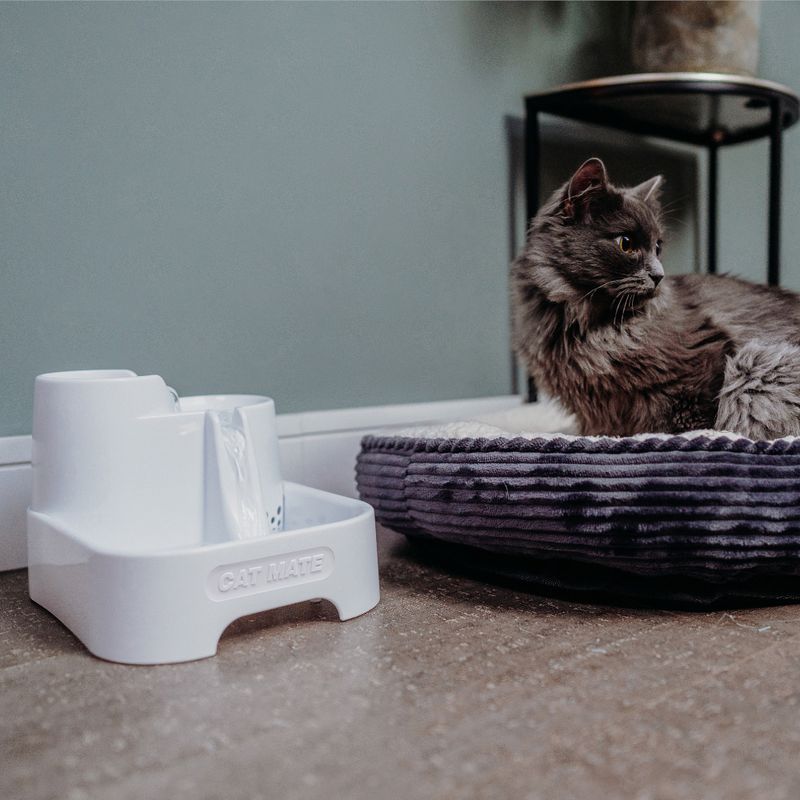 Cat Mate Trinkbrunnen, 2 Liter zu TOP-Preisen