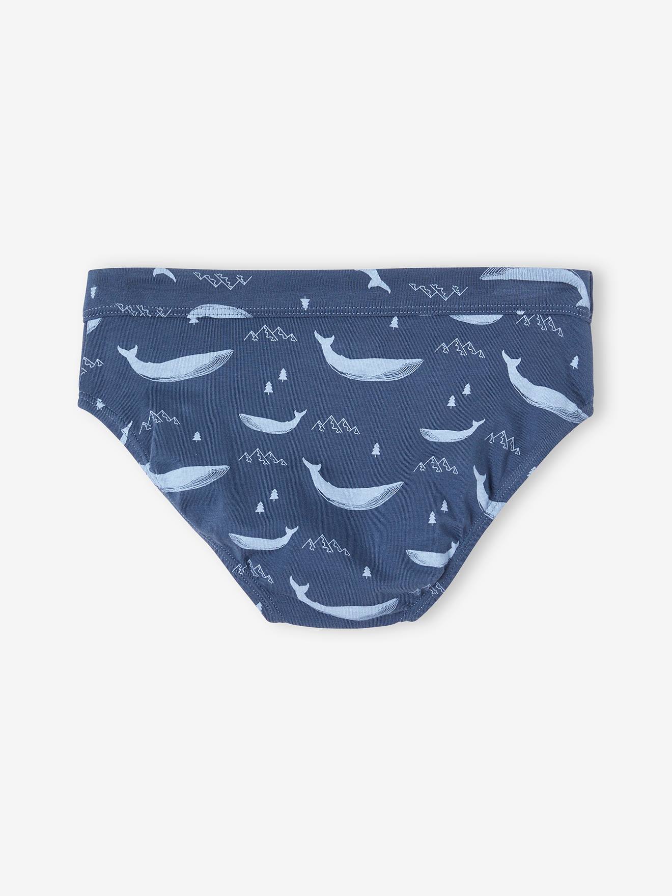 Vertbaudet 7er-Pack Jungen Slips mit Bio-Baumwolle, Wale - himmelblau