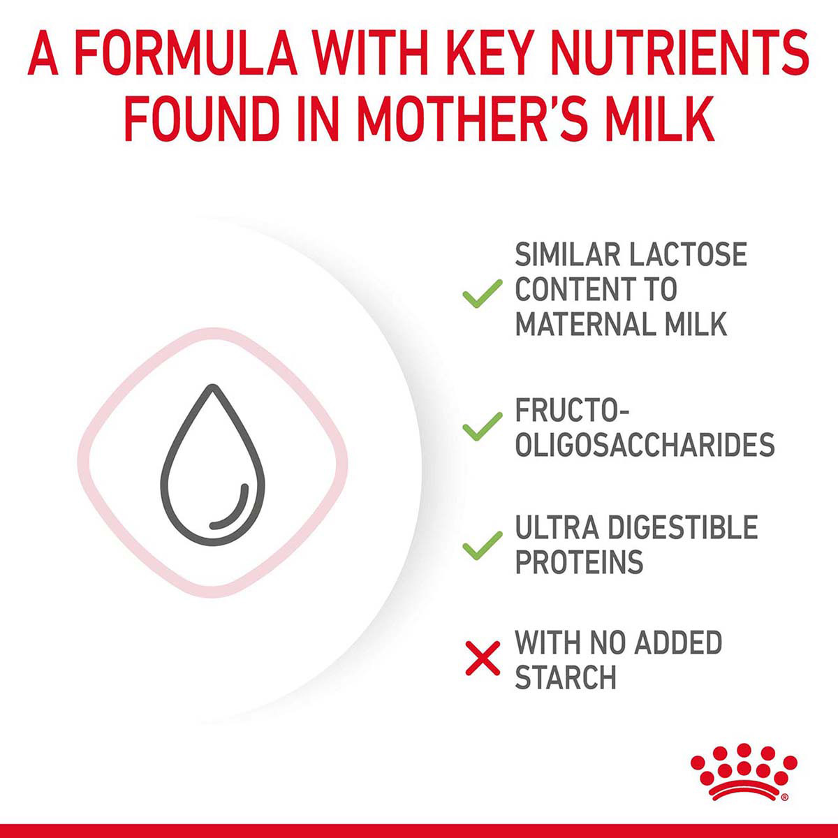 ROYAL CANIN BABYCAT MILK Aufzuchtmilch für Kitten 300g