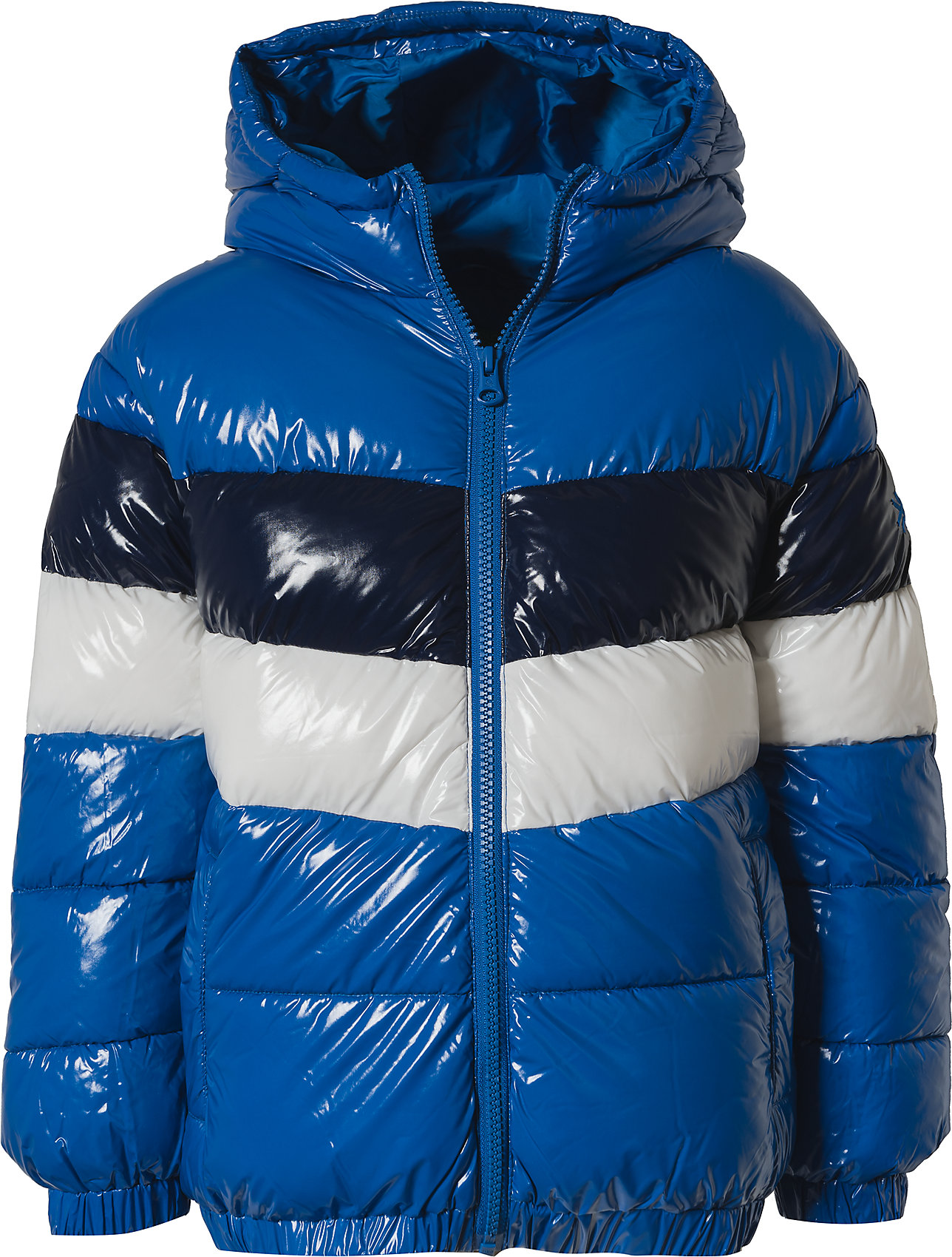 Winter Jacket