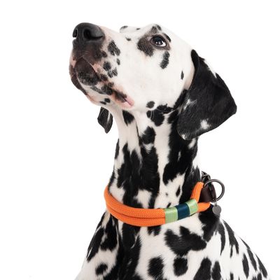 Nomad Tales Spirit Halsband, tangerine