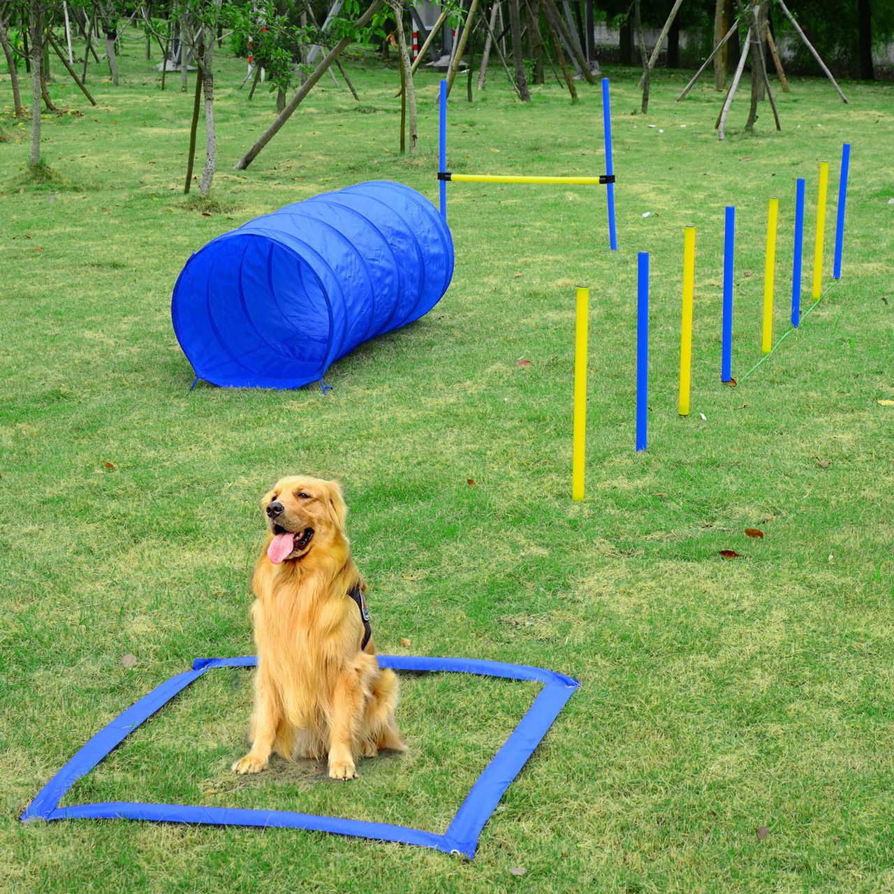 PawHut Hunde Agility Slalom Übung Hundesport Training Reifen Hürde Set 2 Modelle