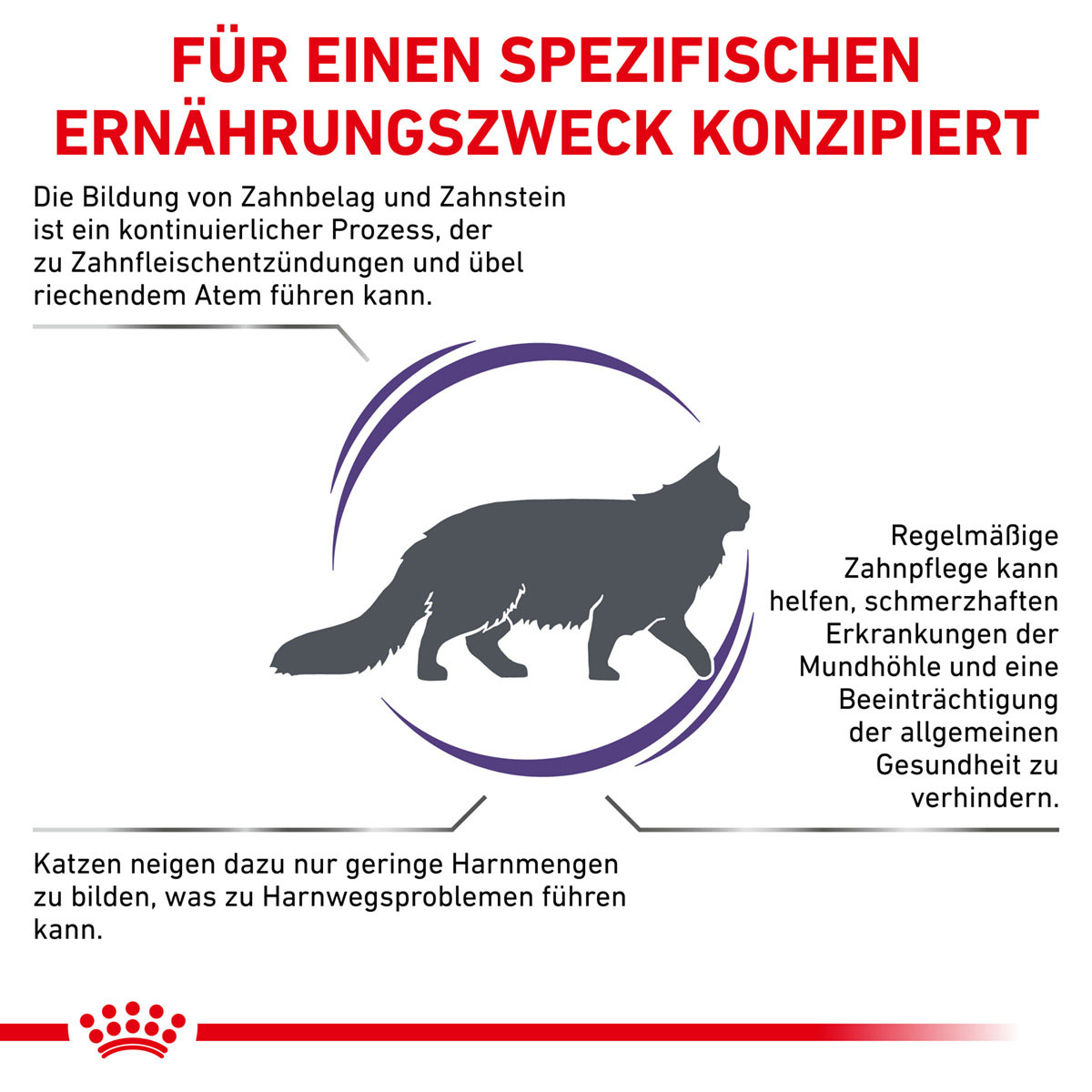 ROYAL CANIN Expert DENTAL Trockenfutter für Katzen