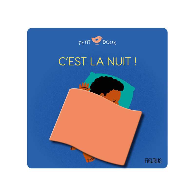 Livre C'est la nuit ! - Fleurus