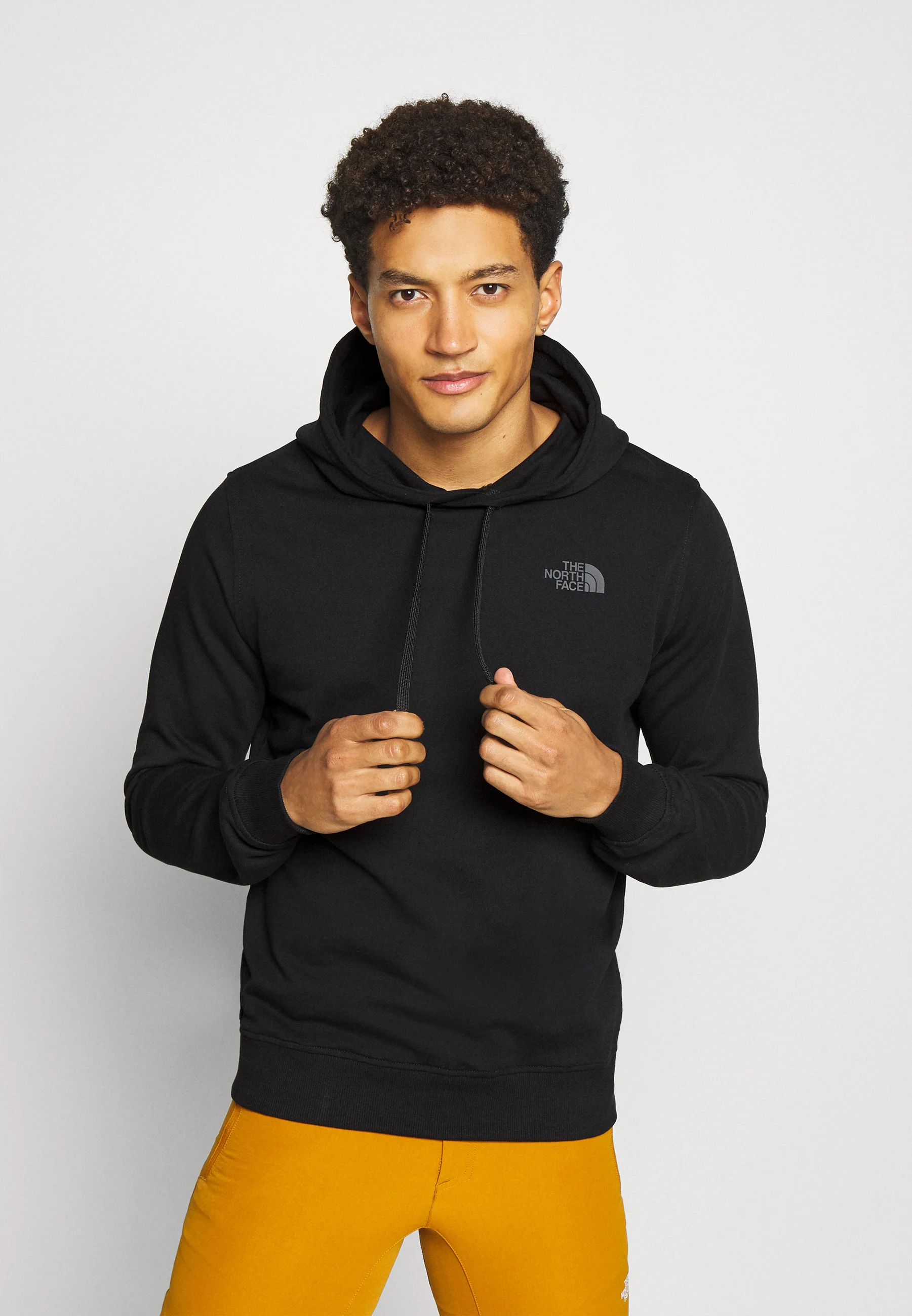 The North Face SEASONAL DREW PEAK LIGHT - Sudadera con capucha