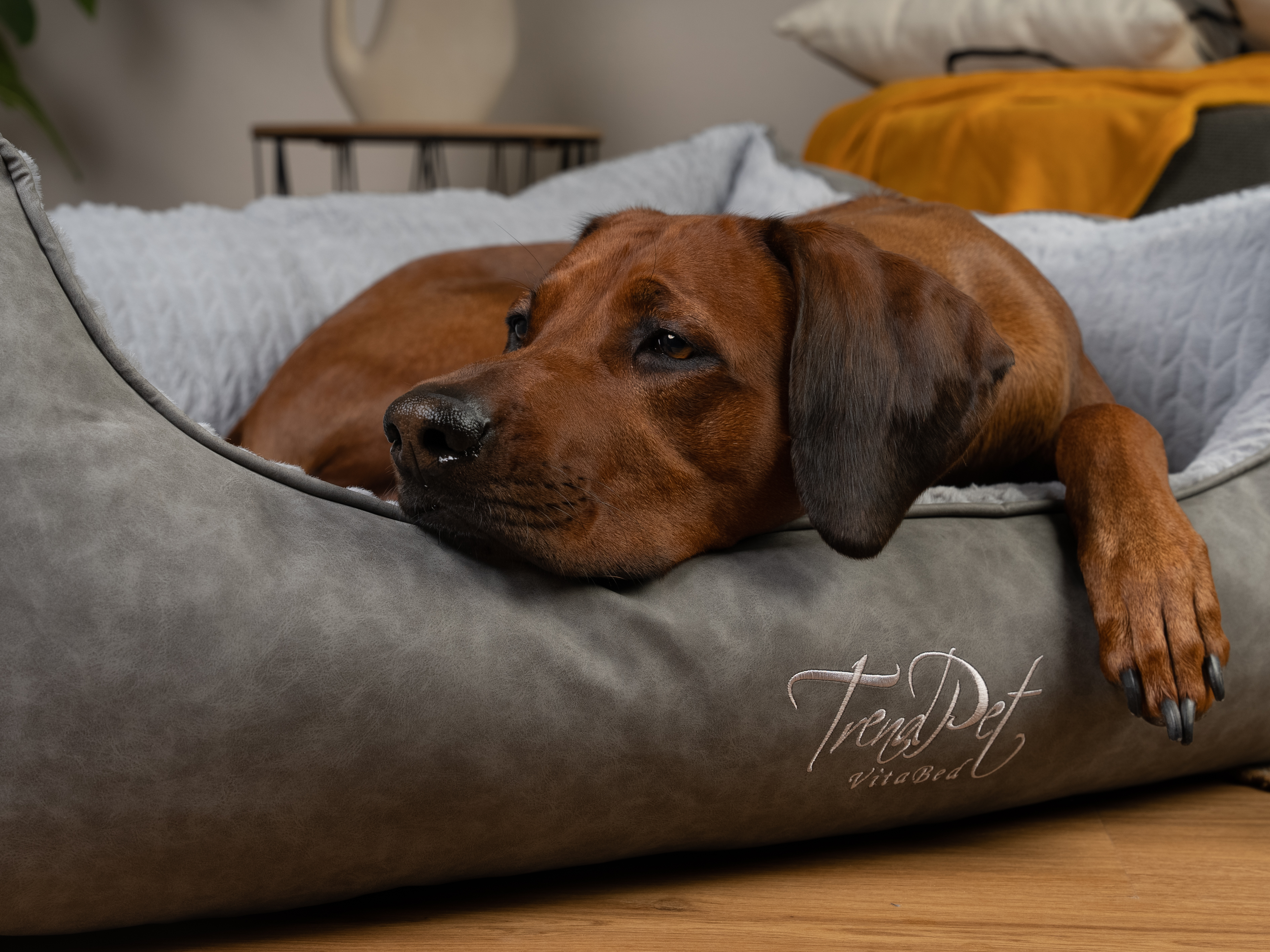 TrendPet Hundebetten TrendPet VitaBed Style orthopädisches Hundebett grau XL