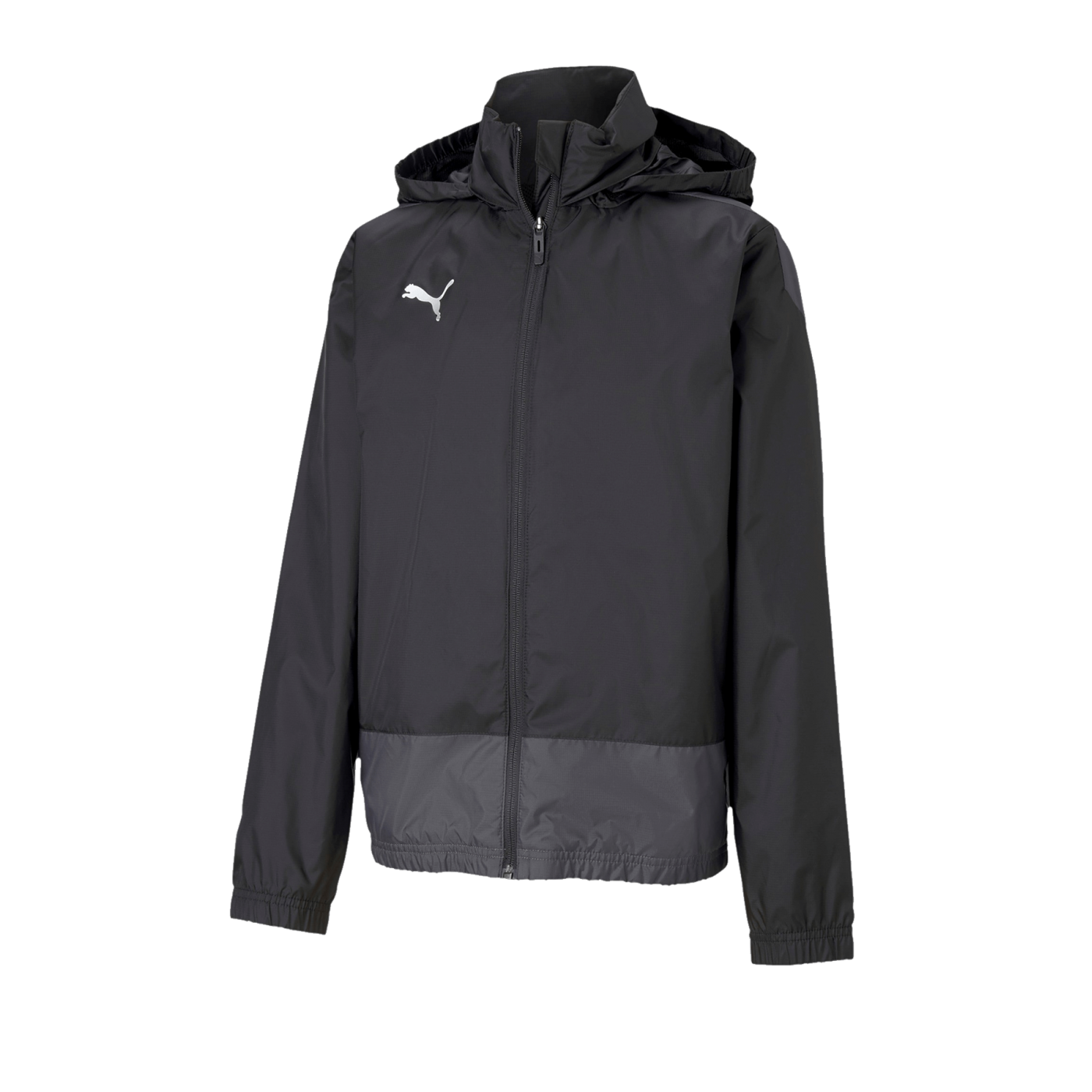 PUMA teamGOAL 23 Training Regenjacke Kids F03
