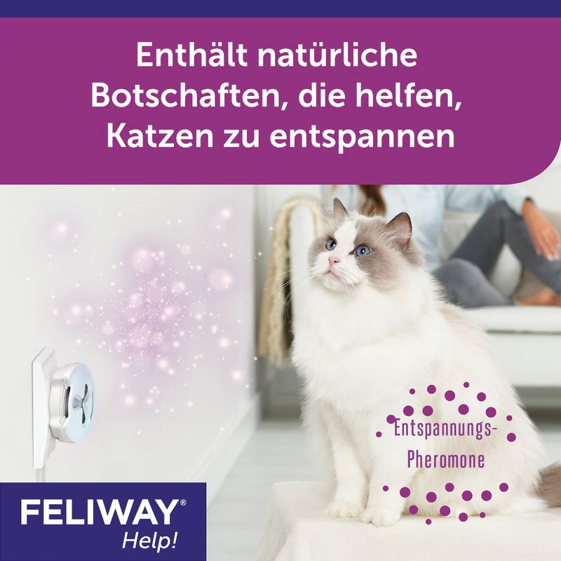 Feliway Help! zu TOP-Preisen