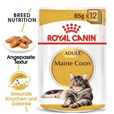 Royal Canin Maine Coon Adult in Soße