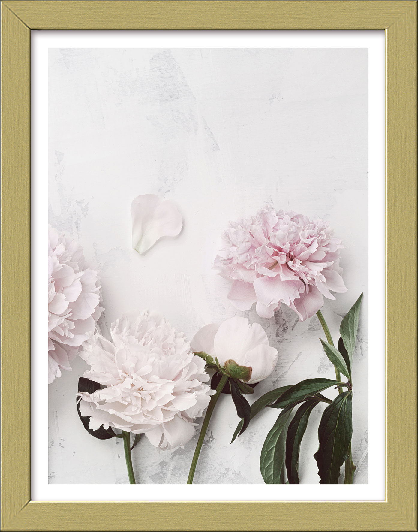 Pro ArtKunstdruck gerahmt 19x24cm