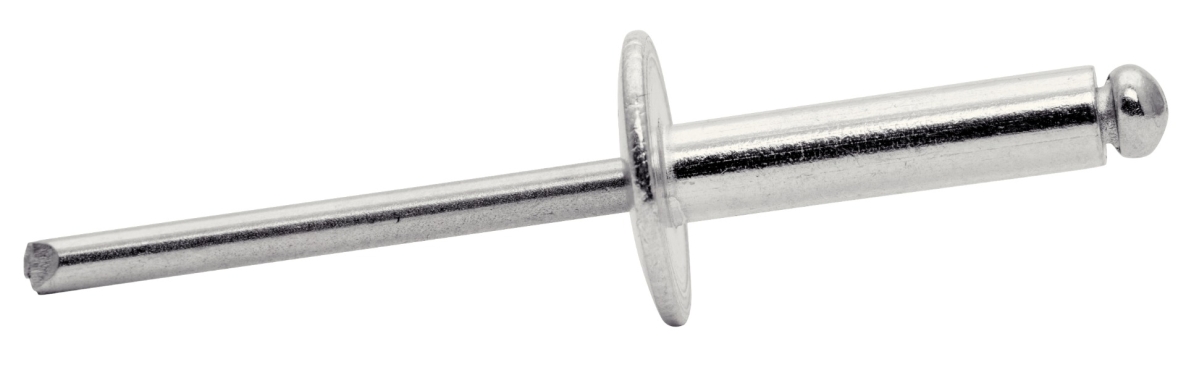 Rapid 5000667 XL blindklinknagels Ã˜4,8 x 20 mm 25 stuks