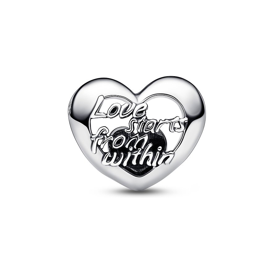 Pandora Charm Moments