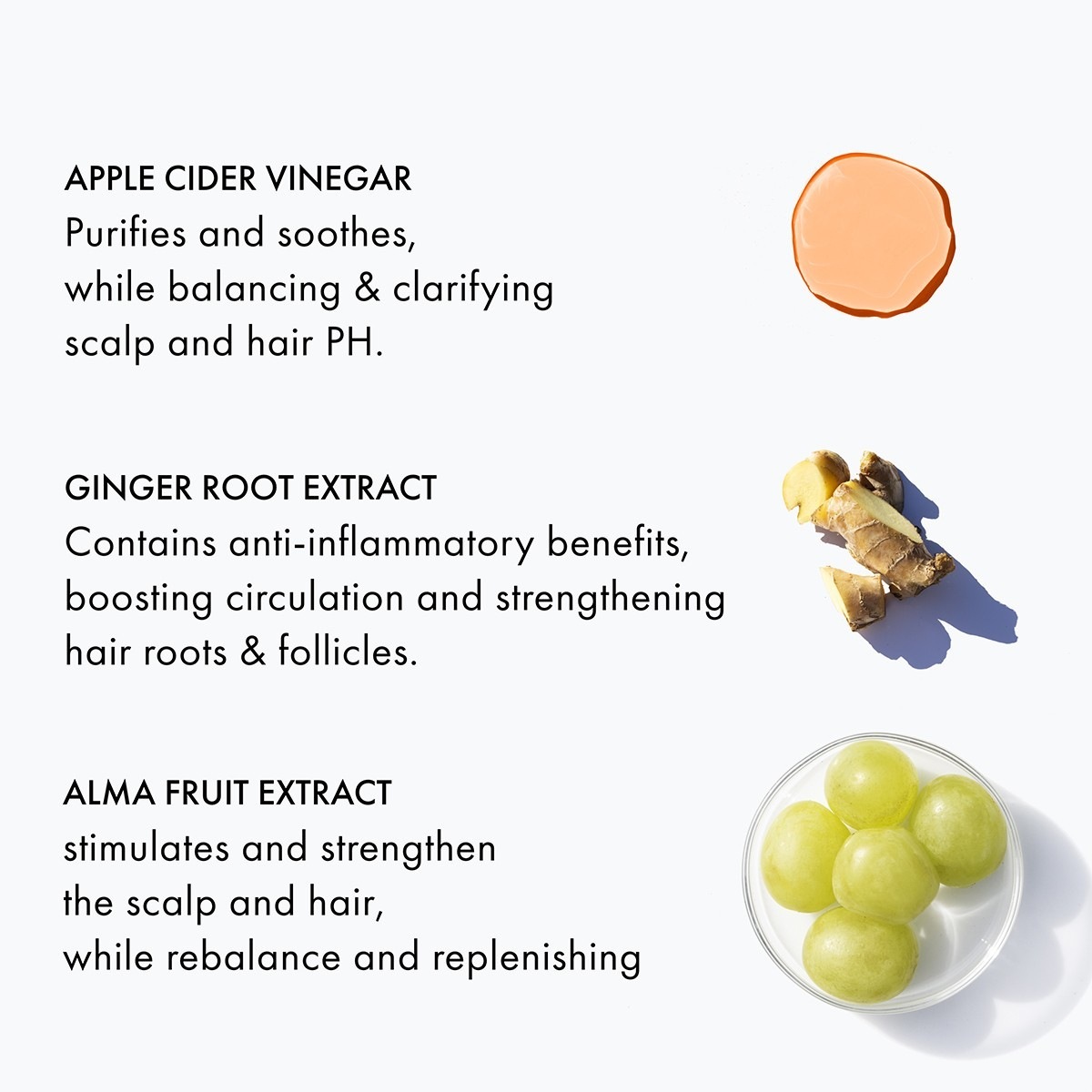 Apple Cider Triple Cleanse Scalp Scrub