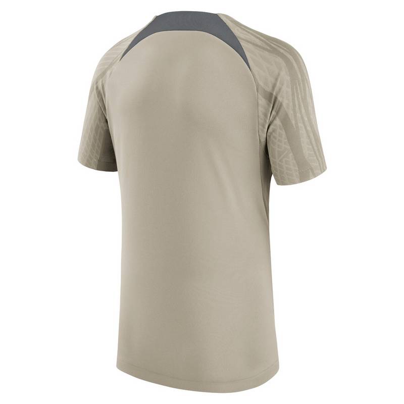 Nike Paris Saint-Germain T-Shirt