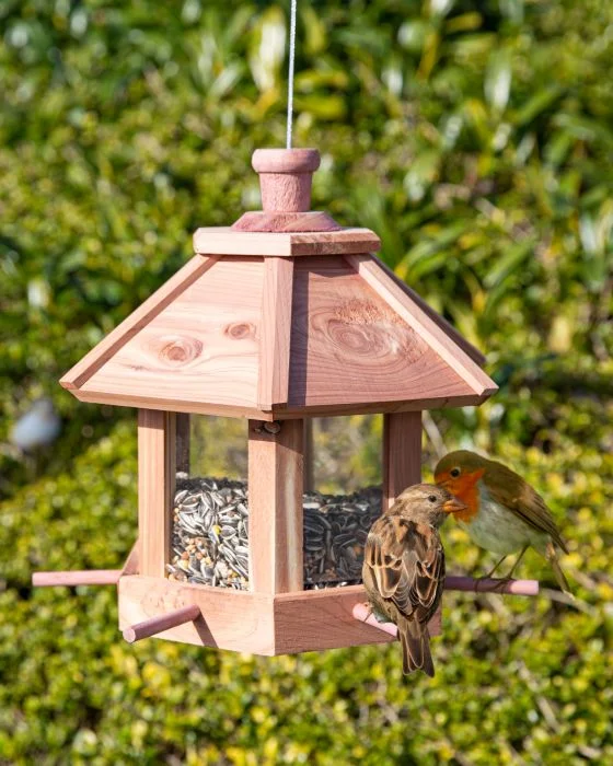 Mangeoire à oiseaux en bois imputrescible