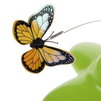 Katzenspielzeug Funny Butterfly