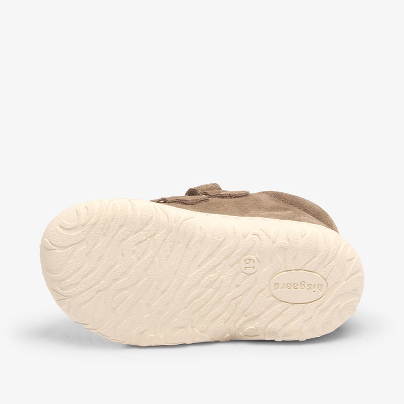hale mushroom - Braun