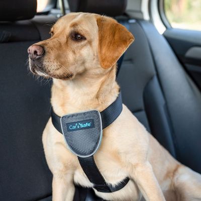 CarSafe Hundereisegeschirr, schwarz